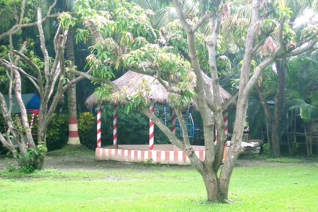 Palm Village Resort Καλκούτα Εξωτερικό φωτογραφία